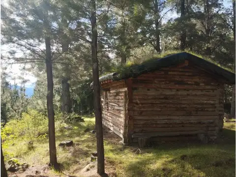 Terreno en Venta 60  mts Fondo