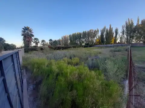 Terreno en Venta de 2146,0 m2