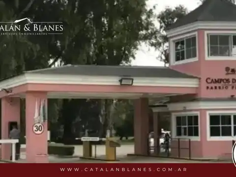 RUTA 2 - CAMPOS DE ROCA I