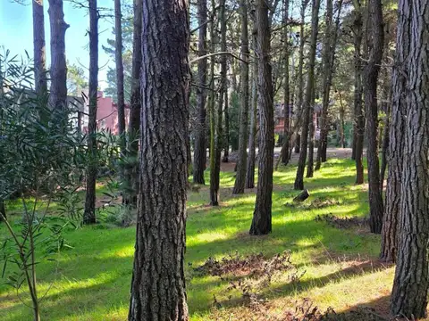 Hilario Ascasubi e/ Querandíes y Santa María