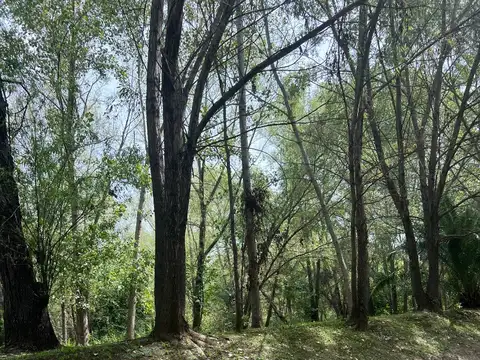 Terreno en Venta en Delta del Tigre, USD 20.000