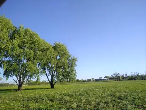 TERRENO EN VENTA MARCOS PAZ  FINANCIADO