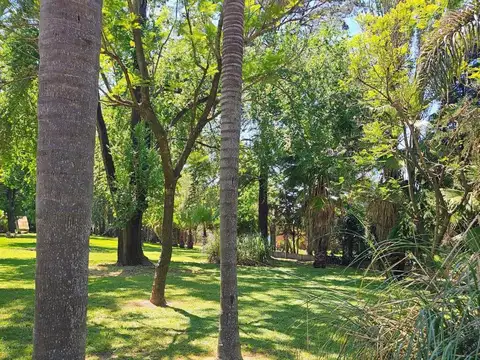VENTA Terreno parquizado- AV. 9 DE JULIO AL 1700 en PEREZ