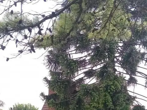 Casa en Venta 1 año