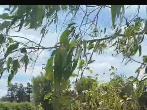 Terreno en Venta de 2890,0 m2