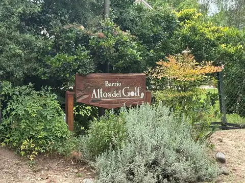 Saravi, La Lonja, Pilar 3500