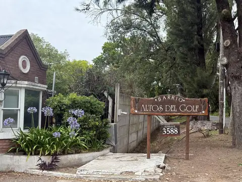 Saravi, La Lonja, Pilar 3500
