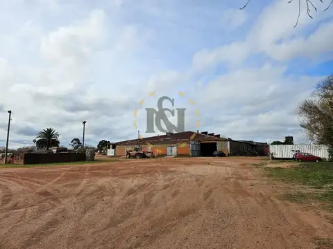 RAIZ, CNO. CORONEL 100
