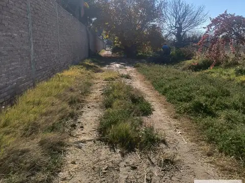 Campo en venta - 8 Hectáreas - Guaymallén
