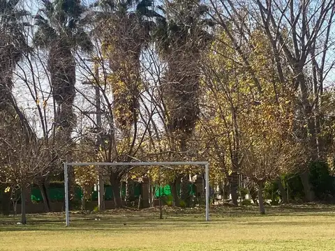 Alfonso XIII