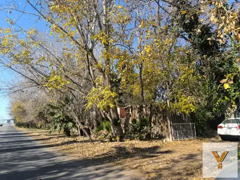 Campo en venta - 8 Hectáreas - Guaymallén