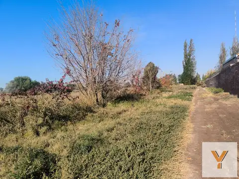 Campo en venta - 8 Hectáreas - Guaymallén