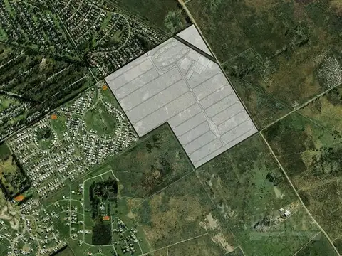 Saint Thomas Chico!!