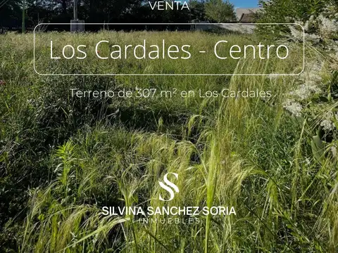 TERRENO EN VENTA,  CENTRO DEL PUEBLO LOS CARDALES, SUIPACHA Y MALVINAS ARGENTINAS