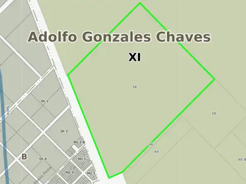 Campo en venta - 50 Hectáreas - Adolfo González Chávez