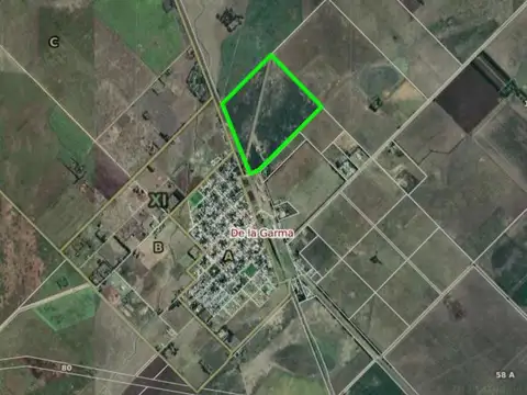 Campo en venta - 50 Hectáreas - Adolfo González Chávez