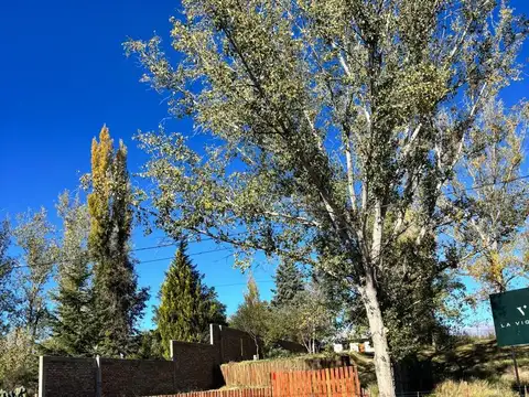 Terreno en Venta de 3653,0 m2