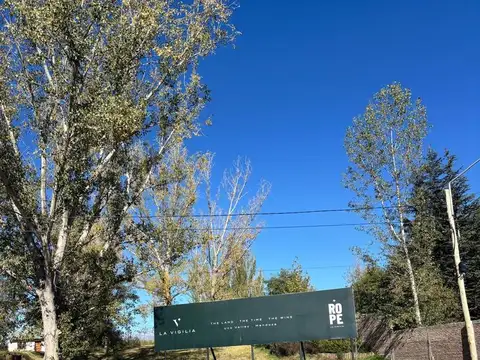 Ruta 94