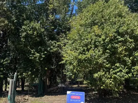 Venta Terreno Villa Catalina Campos Verdes central 300m2