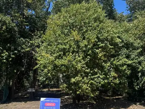 Venta Terreno Villa Catalina Campos Verdes central 300m2