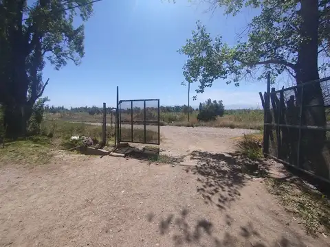Venta Finca Vitícola en Chachingo 13 has