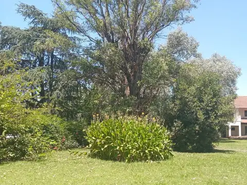 Comandante Ramón Franco 5500