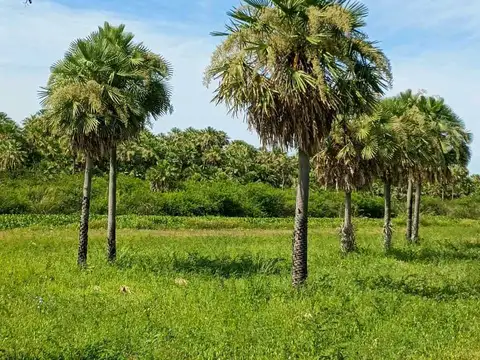 Bellísimo terreno con vista al Palmar, Bo Don Fernando