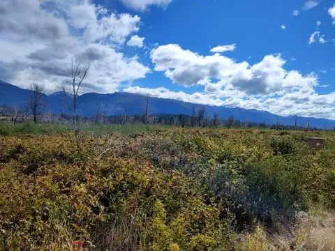 Camino Los Ñires y Callejón Aravena
