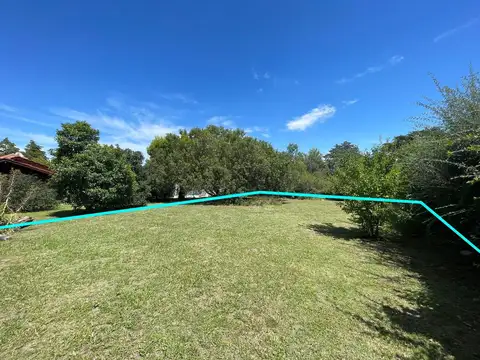 Pinos Oeste 100