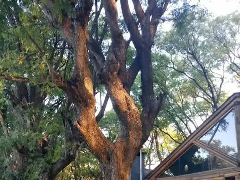 Ruta 11 y Lavalle Sauce Viejo