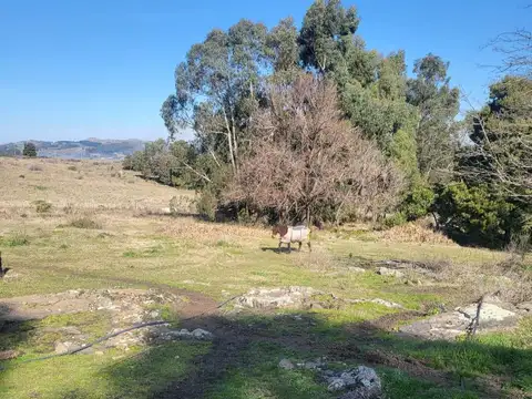 Cerati e/ Luis Alberto Spinetta y Otamendi