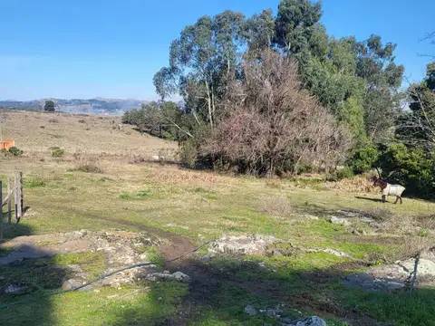 Terreno en venta - 1.600Mts2 - Tandil