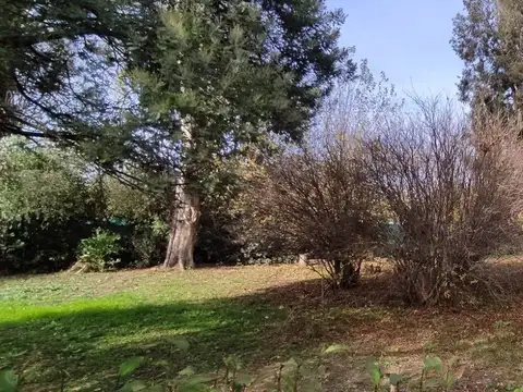 Terreno en Venta 50  mts Fondo