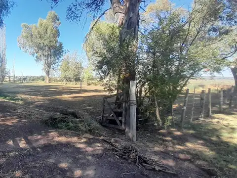Finca en El Carrizal, Lujan de Cuyo