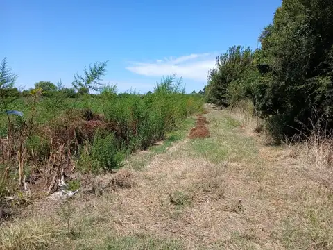 Campo Agricola, 6 Ha., Villa Vatteone, F. Varela