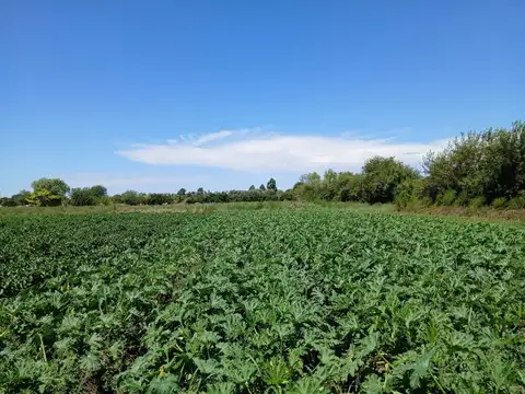 Terreno en Venta de 60000,0 m2