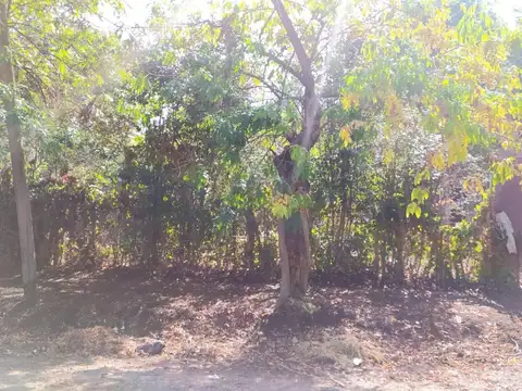 Terreno en Venta 35  mts Fondo