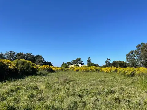 VENTA TERRENO MAR DEL SUD 600m2