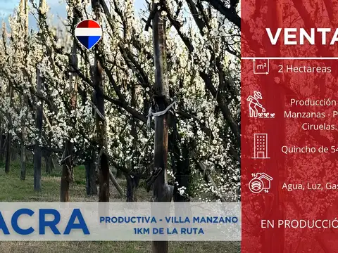 Calle 11 Villa Manzano 100