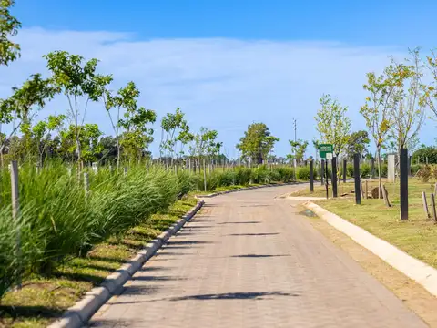 Alea Barrio Privado, General Lagos - Lote 612 m2