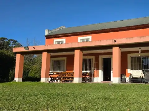 Cedro y Campanilla 100
