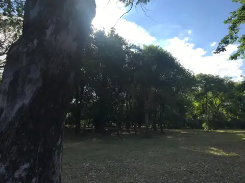 Terreno en Venta de 10000,0 m2