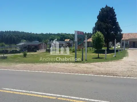 Ruta 100