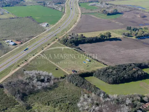 RN7 km 102, B6720 San Andres de Giles, Provincia de Buenos Aires