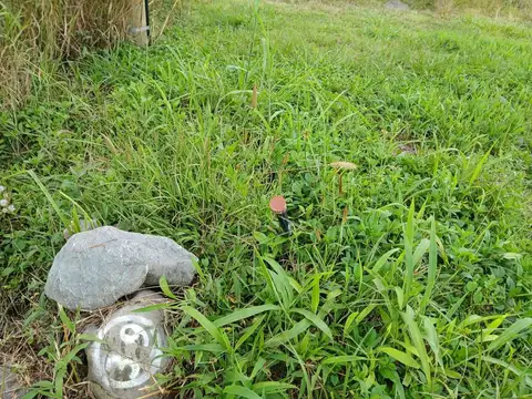 Campo Quijano. Loteo La Carmina RN 51