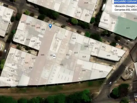 ALEJANDRO MAGARIÑOS CERVANTES 800