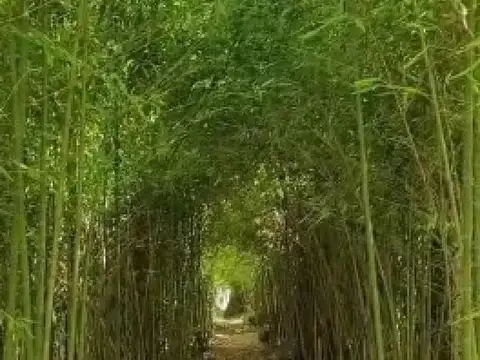 Terreno en Venta de 2798,0 m2