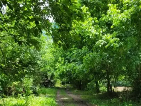 Ruta 26 y Río Luján