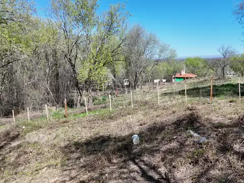 Terreno en Venta 17  mts Fondo