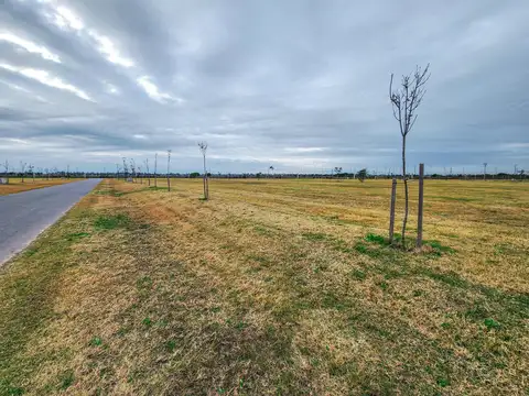 Terreno en Venta de 1076,0 m2